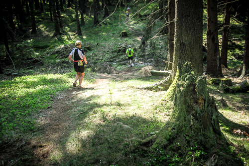 IMG_2011-04-30_Harzquerung 2011_500x333_016_IMG_3222