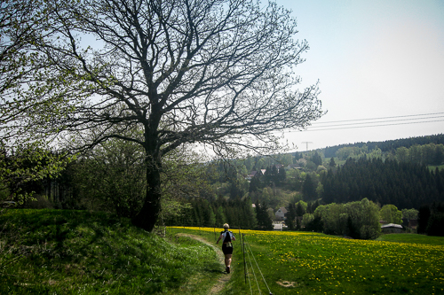 IMG_2011-04-30_Harzquerung 2011_500x333_019_IMG_3248