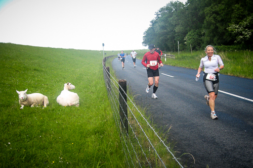 IMG_2011-05-15_Wilhelmshavener Gorch-Fock-Marathon 2011_500x333_012_IMG_3974