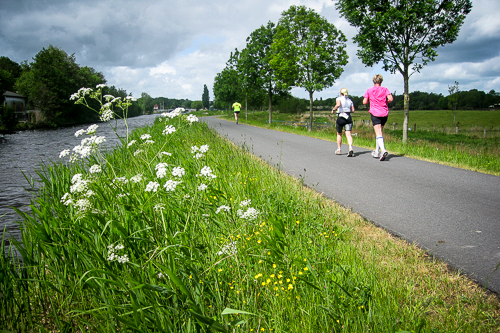 IMG_2011-05-15_Wilhelmshavener Gorch-Fock-Marathon 2011_500x333_016_IMG_4128