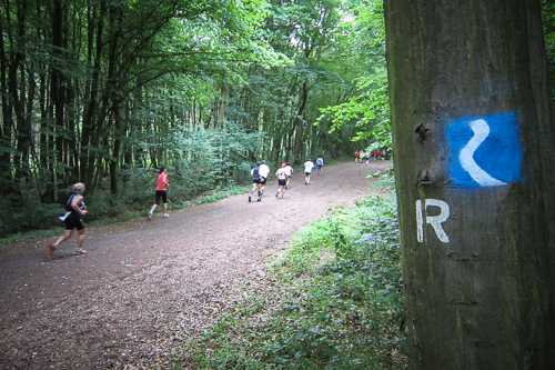 IMG_2011-05-29_Rheinsteig Extremlauf 2011_500x333_013_IMG_0081