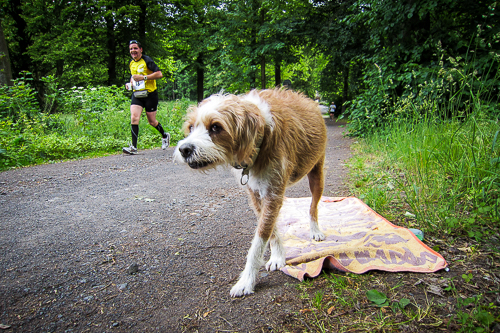 IMG_2011-05-29_Rheinsteig Extremlauf 2011_500x333_019_IMG_0189