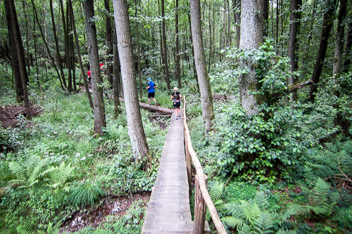 IMG_2011-07-15_Bärenfels Ultratrail 2011_500x333_016_IMG_4401