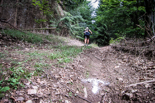 IMG_2011-07-15_Bärenfels Ultratrail 2011_500x333_018_IMG_4416