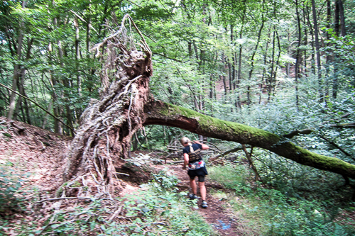 IMG_2011-07-15_Bärenfels Ultratrail 2011_500x333_022_IMG_4438