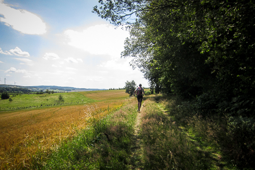 IMG_2011-07-15_Bärenfels Ultratrail 2011_500x333_027_IMG_4527