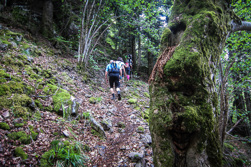 IMG_2012-05-13_Black Forest Trailrun Masters 2012_500x333_013_IMG_2017