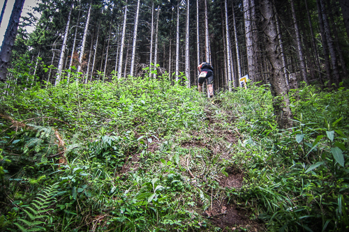 IMG_2012-05-13_Black Forest Trailrun Masters 2012_500x333_018_IMG_2187