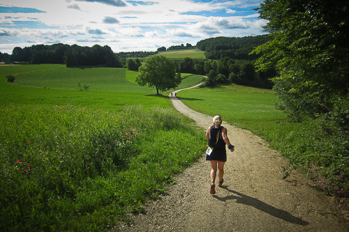 IMG_2012-06-17_Frankenweg-Lauf 2012_500x333_016_IMG_3267