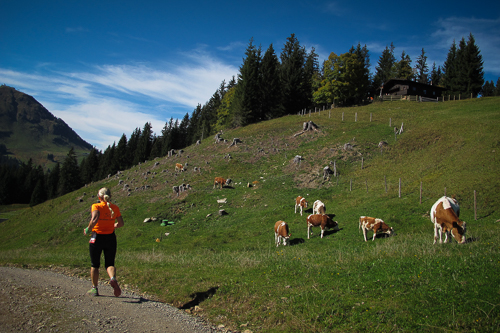 IMG_2012-10-06_Tour de Tirol 2012_500x333_036_IMG_3075