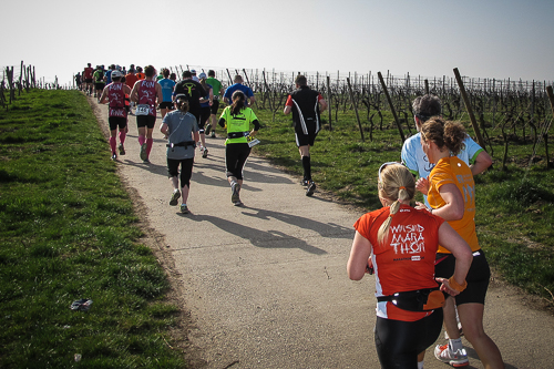 IMG_2014-03-30_Marathon Deutsche Weinstraße 2014_500x333_012_IMG_0723