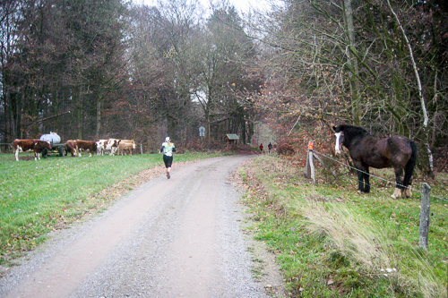 Advent-Wald-Marathon Bad Arolsen 2006