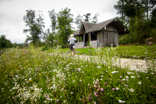 Hornisgrinde Marathon 2011