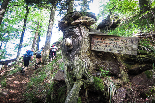 Black Forest Trailrun Masters 2012