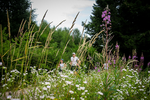 Hornisgrinde Marathon 2014